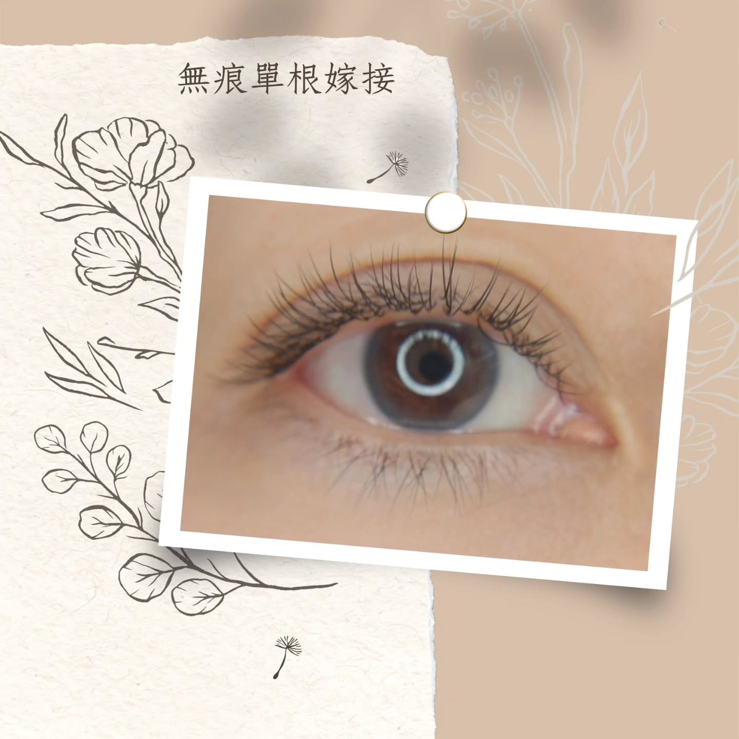 無痕單根嫁接