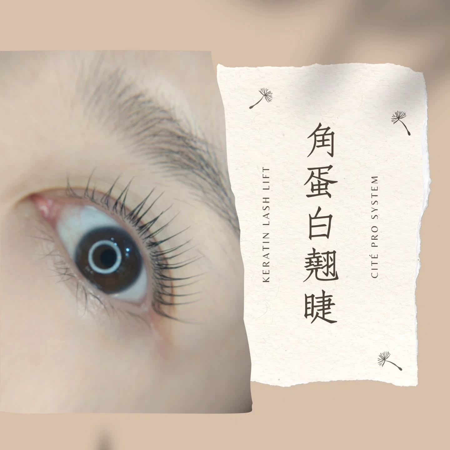 角蛋白翹睫
